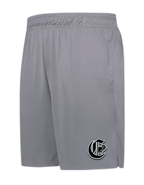 Polycor - Shorts Grise