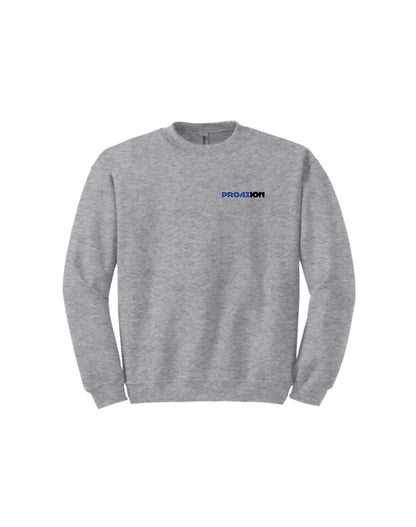 PROAXION - Crewneck Gris